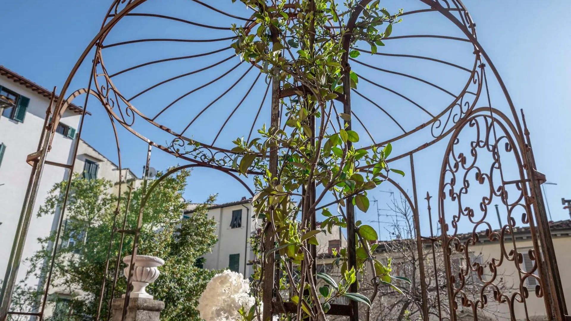 Appartamento La Casa Di Liszt Firenze
